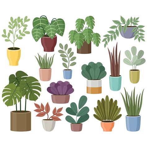 Free for commercial use High Quality Images. . Houseplant clipart